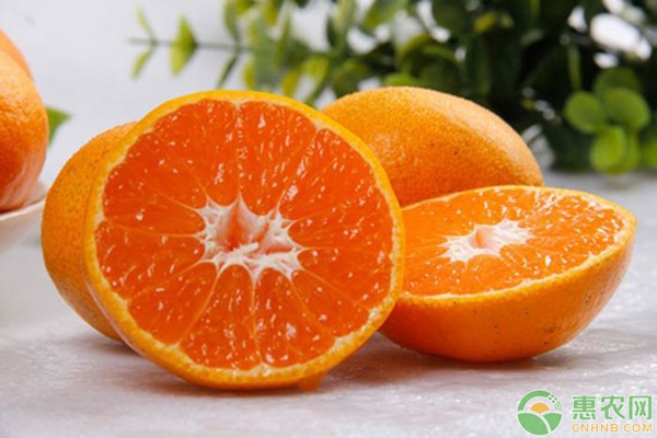 橘子的养生保健功效